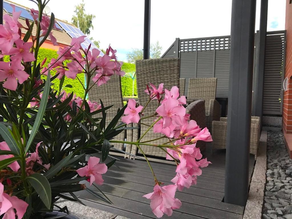 Haus Im Gruenen Apartment เฮริงสดอร์ฟ ภายนอก รูปภาพ